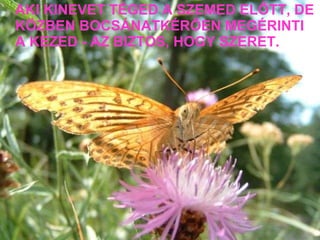 AKI KINEVET TÉGED A SZEMED ELŐTT, DE KÖZBEN BOCSÁNATKÉRŐEN MEGÉRINTI A KEZED - AZ BIZTOS, HOGY SZERET. 