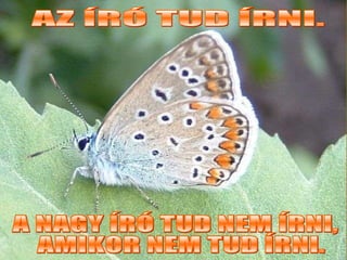 AZ ÍRÓ TUD ÍRNI. A NAGY ÍRÓ TUD NEM ÍRNI, AMIKOR NEM TUD ÍRNI. 