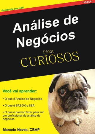 Análise de Negócios para Curiosos | 2/25/2012
 