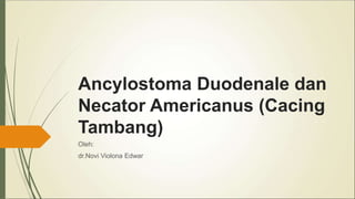 Ancylostoma Duodenale dan
Necator Americanus (Cacing
Tambang)
Oleh:
dr.Novi Violona Edwar
 