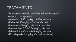 Se usan sobre todo antihelmínticos de amplio
espectro por ejemplo:
-Albendazol 50 mg/kg x 3 días vía oral
-Febantel 15mg/kg x 3 días vía oral
-Levamisol 5 mg/kg vía intramuscular
-Ivermectina 0.01-0.34 mg/kg vía oral
-Milbemicina Oxima 0.5 mg/kg vía oral
-Emodepsida 1 mg/kg vía oral (tabletas)
 