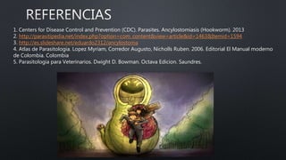 1. Centers for Disease Control and Prevention (CDC). Parasites. Ancylostomiasis (Hookworm). 2013
2. http://parasitipedia.net/index.php?option=com_content&view=article&id=1463&Itemid=1594
3. http://es.slideshare.net/eduardo2312/ancylostoma
4. Atlas de Parasitologia. Lopez Myriam, Corredor Augusto, Nicholls Ruben. 2006. Editorial El Manual moderno
de Colombia. Colombia
5. Parasitologia para Veterinarios. Dwight D. Bowman. Octava Edicion. Saundres.
 
