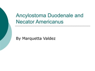 Ancylostoma Duodenale and
Necator Americanus
By Marquetta Valdez
 