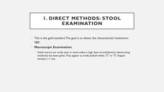 Seldom Method Comprehensive Overview of Ancylostoma Duodenale: Lifecycle ...