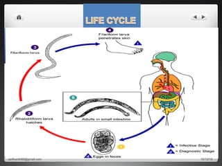 10/12/16asifkanth89@gmail.com
 