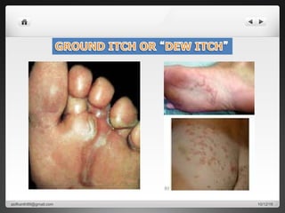 10/12/16asifkanth89@gmail.com
 