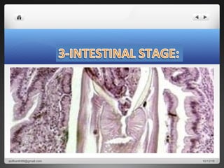 10/12/16asifkanth89@gmail.com
 