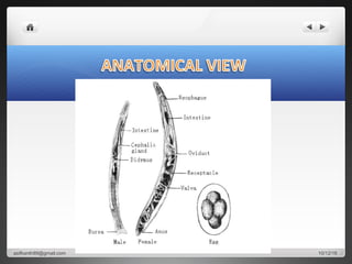 10/12/16asifkanth89@gmail.com
 