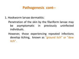 Pathogenesis cont--
1. Hookworm larvae dermatitis:
Penetration of the skin by the filariform larvae may
be asymptomatic in previously uninfected
individuals.
However, those experiencing repeated infections
develop itching, known as "ground itch" or "dew
itch".
 