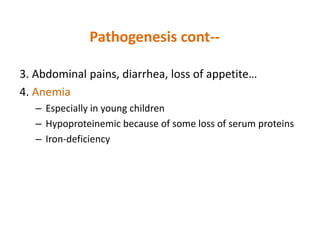 Pathogenesis cont--
3. Abdominal pains, diarrhea, loss of appetite…
4. Anemia
– Especially in young children
– Hypoproteinemic because of some loss of serum proteins
– Iron-deficiency
 