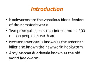 Introduction
• Hookworms are the voracious blood feeders
of the nematode world.
• Two principal species that infect around 900
million people on earth are:
• Necator americanus known as the american
killer also known the new world hookworm.
• Ancylostoma duodenale known as the old
world hookworm.
 