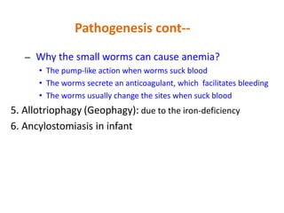 – Why the small worms can cause anemia?
• The pump-like action when worms suck blood
• The worms secrete an anticoagulant, which facilitates bleeding
• The worms usually change the sites when suck blood
5. Allotriophagy (Geophagy): due to the iron-deficiency
6. Ancylostomiasis in infant
Pathogenesis cont--
 
