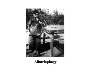 Allotriophagy
 