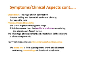 Ground itch: The stage of skin penetration
Intense itching and dermatitis at the site of entry;
between the toes
Pneumonitis and bronchitis
The larval migration through the lungs
This is less severe than the Loeffler's syndrome seen during
the migration of Ascaris larvae.
The final stage of development and attachment to the intestine
is often asymptomatic.
Heavy infections: induce microcytic hypochromic anaemia
The blood loss is from sucking by the worm and also from
continuing haemorrhage at the site of attachment.
Symptoms/Clinical Aspects cont…..
 