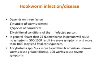 Hookworm infection/disease
• Depends on three factors.
1)Number of worms present
2)Species of hookworm
3)Nutritional conditions of the infected person.
• In general fewer than 25 N.americanus in person will cause
no symptoms. 500-1000 result in severe symptoms, and more
than 1000 may lead fatal consequences.
• Ancylostoma spp. Suck more blood than N.americanus fewer
worms cause greater disease. 100 worms cause severe
symptoms.
 