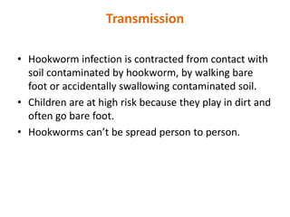 Transmission
• Hookworm infection is contracted from contact with
soil contaminated by hookworm, by walking bare
foot or accidentally swallowing contaminated soil.
• Children are at high risk because they play in dirt and
often go bare foot.
• Hookworms can’t be spread person to person.
 