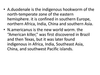 • A.duodenale is the indigenous hookworm of the
north-temperate zone of the eastern
hemisphere. it is confined in southern Europe,
northern Africa, India, China and southern Asia.
• N.americanus is the new world worm. the
“American killer,” was first discovered in Brazil
and then Texas, but it was later found
indigenous in Africa, India, Southeast Asia,
China, and southwest Pacific islands.
 