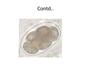 Contd..
 