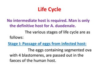 Life Cycle
No intermediate host is required. Man is only
the definitive host for A. duodenale.
The various stages of life cycle are as
follows:
Stage I: Passage of eggs from infected host:
The eggs containing segmented ova
with 4 blastomeres, are passed out in the
faeces of the human host.
 