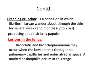 Contd….
Creeping eruption: is a condition in which
filariform larvae wander about through the skin
for several weeks and months (upto 2 yrs)
producing a reddish itchy papule.
Lesions in the lungs:
Bronchitis and bronchopneumonia may
occur when the larvae break through the
pulmonary capillaries and enter alveolar space. A
marked eosinophilia occurs at this stage.
 