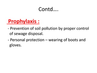 Contd….
Prophylaxis :
- Prevention of soil pollution by proper control
of sewage disposal.
- Personal protection – wearing of boots and
gloves.
 