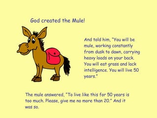 God created the Mule! And told him, “You will be mule, working constantly from dusk to dawn, carrying heavy loads on your back. You will eat grass and lack intelligence. You will live 50 years.”  The mule answered, “To live like this for 50 years is too much. Please, give me no more than 20.” And it was so. 