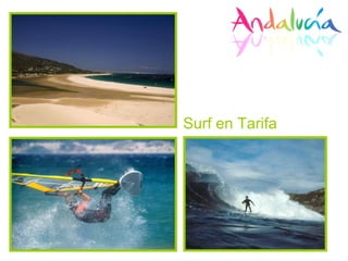 Surf en Tarifa 