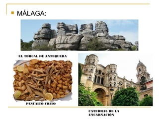  MÁLAGA:
EL TORCAL DE ANTEQUERA
PESCAITO FRITO
CATEDRAL DE LA
ENCARNACIÓN
 