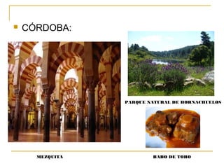  CÓRDOBA:
MEZQUITA
PARQUE NATURAL DE HORNACHUELOS
RABO DE TORO
 