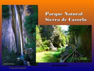 Parque Natural
                     Sierra de Cazorla




                       Cerrada de Elías.
“Cola del Caballo”
 