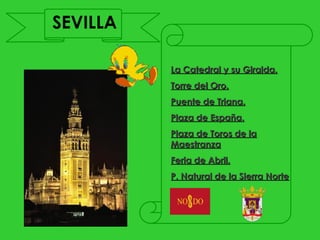SEVILLA

          La Catedral y su Giralda.
          Torre del Oro.
          Puente de Triana.
          Plaza de España.
          Plaza de Toros de la
          Maestranza
          Feria de Abril.
          P. Natural de la Sierra Norte
 