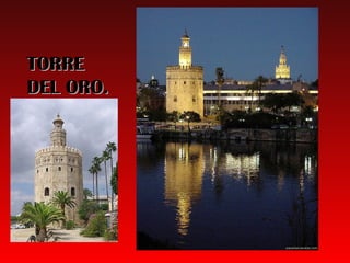 TORRE
DEL ORO.
 