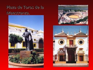 Plaza de Toros de la
Maestranza.
 