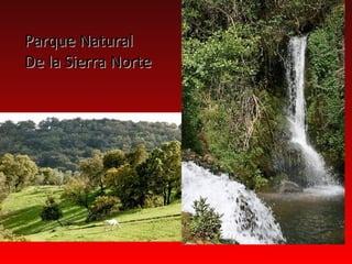 Parque Natural
De la Sierra Norte
 