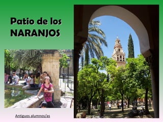 Patio de los
NARANJOS




 Antiguos alumnos/as
 