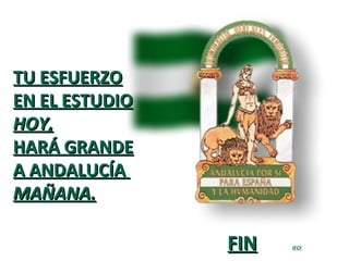 TU ESFUERZO
EN EL ESTUDIO
HOY,
HARÁ GRANDE
A ANDALUCÍA
MAÑANA.

                FIN   JFCF
 