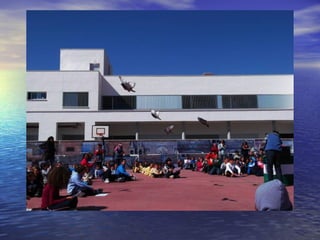 Andalucía con los cinco sentidos