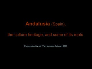 Andalusia  (Spain), Photographed by Jair (Yair) Moreshet, February 2005 the culture heritage, and some of its roots 