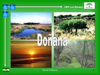 Día de Andalucía Doñana CEIP Los Rosales 