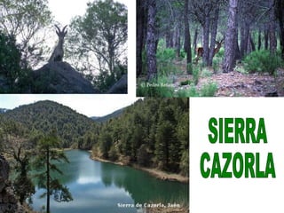 SIERRA CAZORLA 