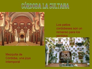 Los patios
                    cordobeses son un
                    remanso para los
                    sentidos




Mezquita de
Córdoba, una joya
intemporal
 