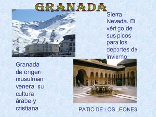 Sierra
                    Nevada. El
                    vértigo de
                    sus picos
                    para los
                    deportes de
                    invierno
Granada
de origen
musulmán
venera su
cultura
árabe y
cristiana   PATIO DE LOS LEONES
 
