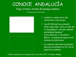 CONOCE  ANDALUCÍA Viaje virtual a través del paisaje andaluz ,[object Object],[object Object],[object Object],Trabajo realizado por el alumnado de 6º nivel del C.E.I.P. Tartessos. Málaga 