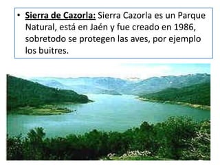 Sierra de Cazorla: Sierra Cazorla es un Parque Natural, está en Jaén y fue creado en 1986, sobretodo se protegen las aves, por ejemplo los buitres.