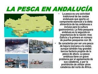 Andalucia1