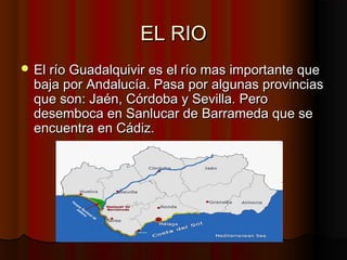 EL RIO
 El río Guadalquivir es el río mas importante que
  baja por Andalucía. Pasa por algunas provincias
  que son: Jaén, Córdoba y Sevilla. Pero
  desemboca en Sanlucar de Barrameda que se
  encuentra en Cádiz.
 