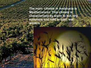 The main climate in Andalucía is
Mediterranean. This climate is
characterized by warm to hot, dry
summers and mild to cool, wet
winters
 