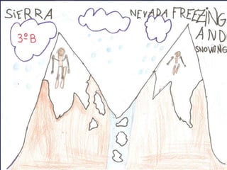 Golfitos barriga blanca
 