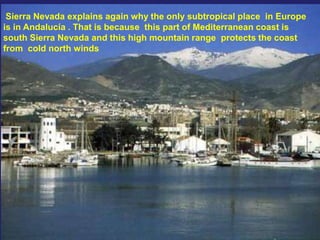 Sierra Nevada explains again why the only subtropical place in Europe
is in Andalucía . That is because this part of Mediterranean coast is
south Sierra Nevada and this high mountain range protects the coast
from cold north winds
 