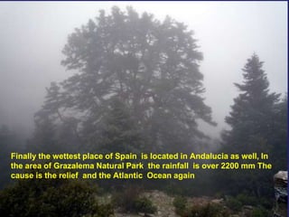 Finally the wettest place of Spain is located in Andalucia as well, In
the area of Grazalema Natural Park the rainfall is over 2200 mm The
cause is the relief and the Atlantic Ocean again
 